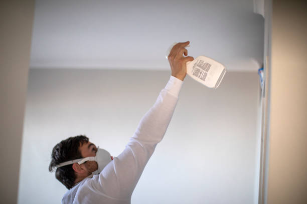 Best Emergency Mold Remediation in La Grulla, TX
