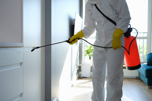 Best Mold Remediation for Specific Building Types in La Grulla, TX