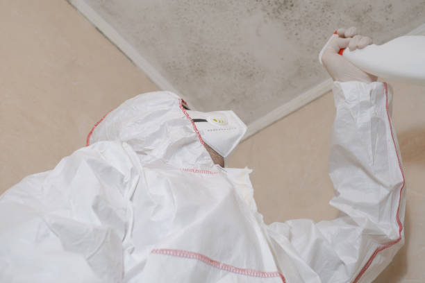 Best Mold Testing and Inspection Services in La Grulla, TX